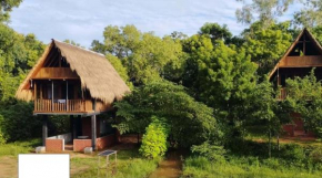 Wisdom Resort